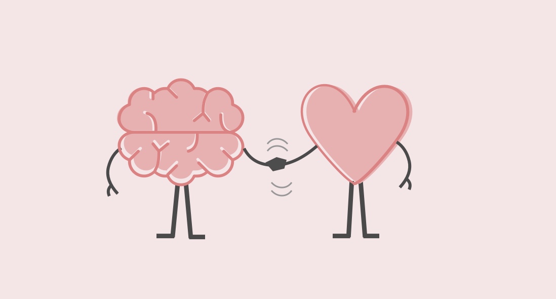 corazón y cerebro dándose la mano